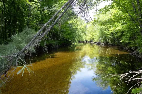 10 South Arm Road Andover ME 04226