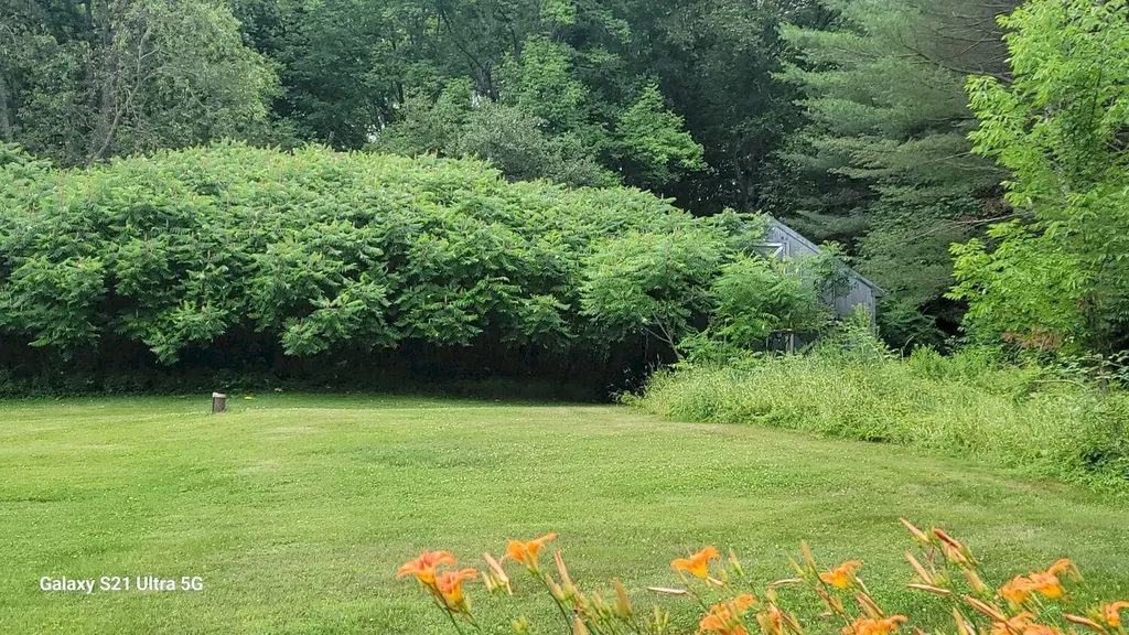 263 W Ridge Road Cornville ME 04976