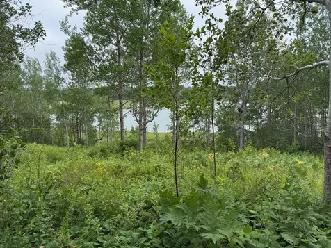 M10l200-1 Off Lyons Road Lubec ME 04652