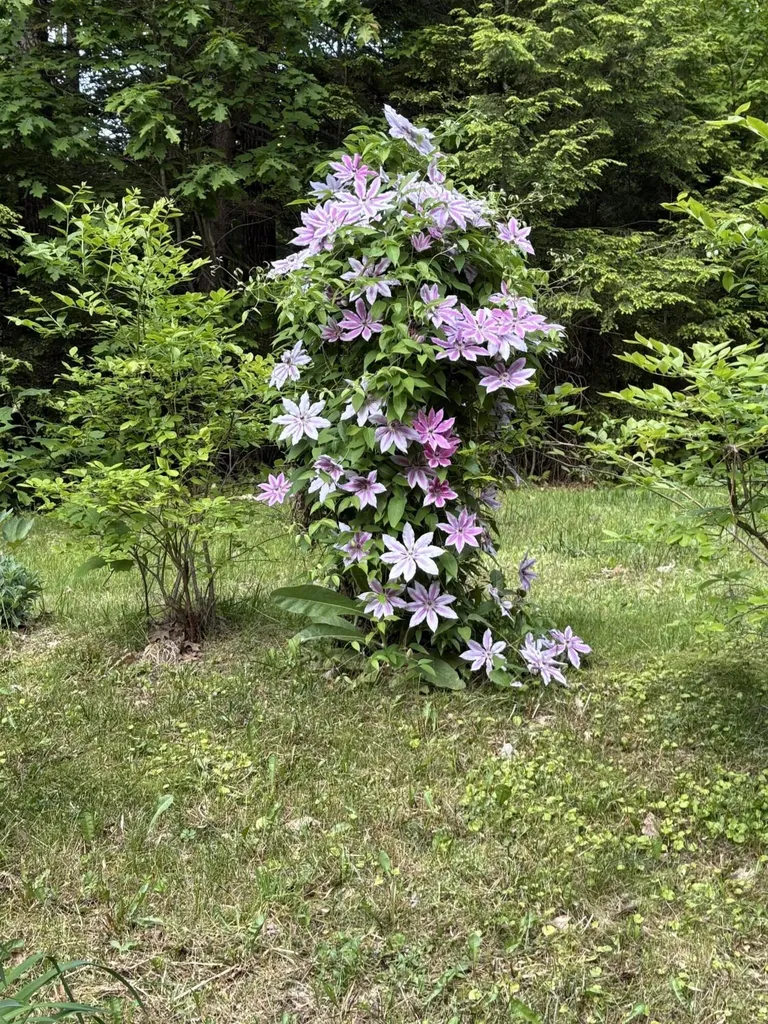 39 Tilton Pond Road Fayette ME 04349