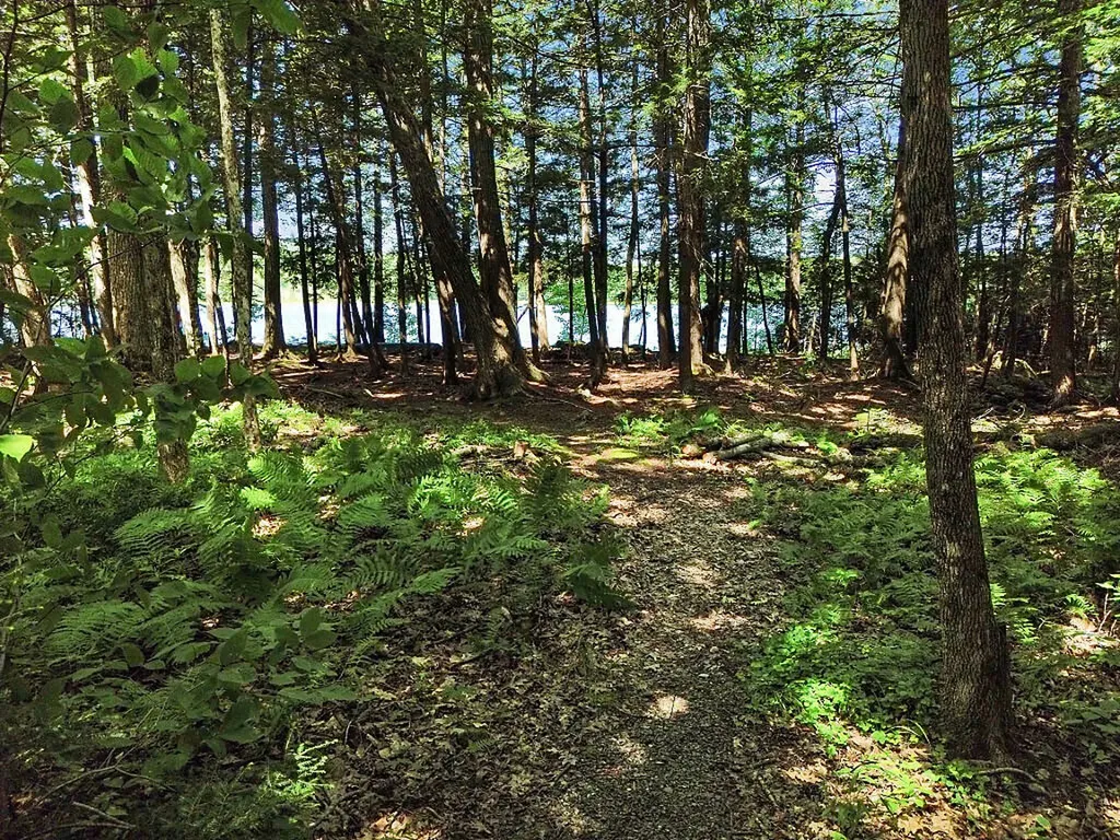 39 Tilton Pond Road Fayette ME 04349