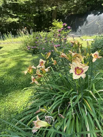 39 Tilton Pond Road Fayette ME 04349