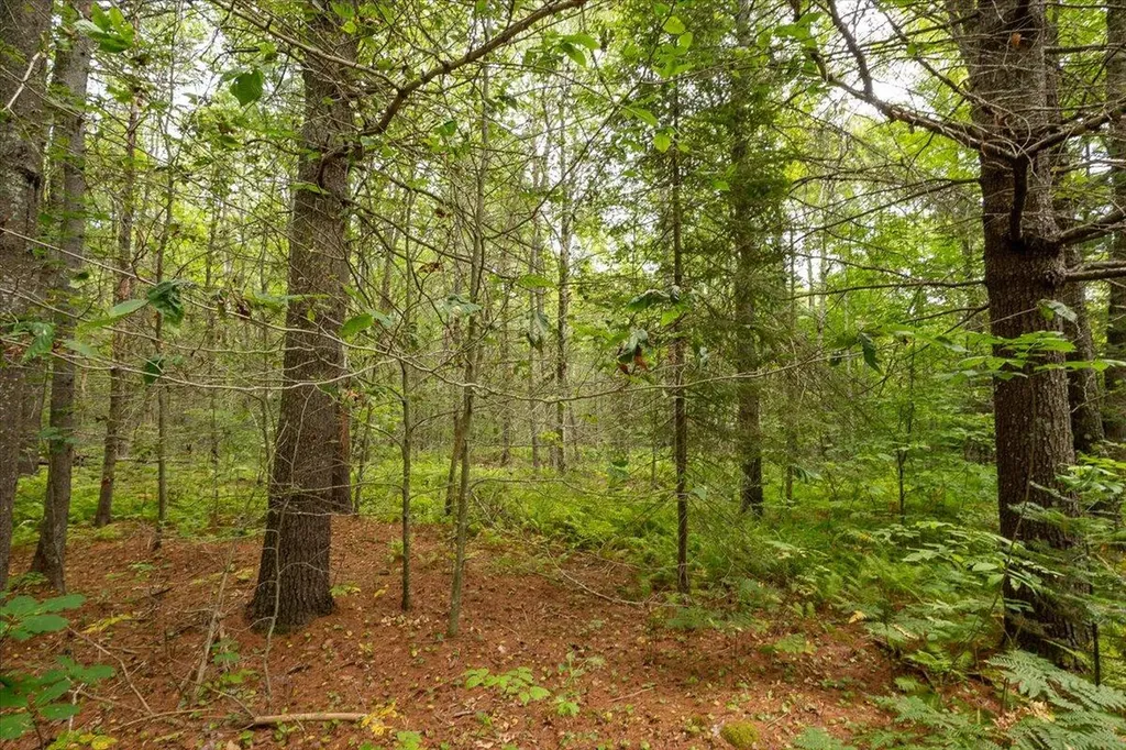 Part Of Map 7 Lot 48-a Nelson Ridge Road S Washington ME 04574