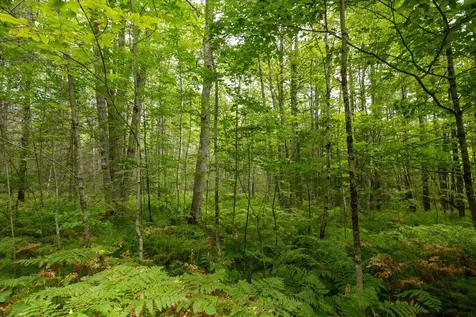 Part Of Map 7 Lot 48-a Nelson Ridge Road S Washington ME 04574