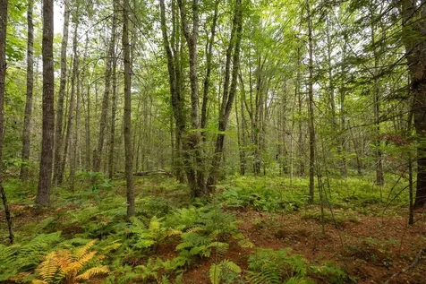 Part Of Map 7 Lot 48-a Nelson Ridge Road S Washington ME 04574