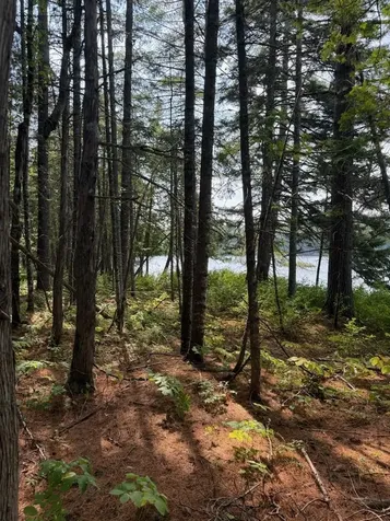 59 Mcdonald Road Parkman ME 04443