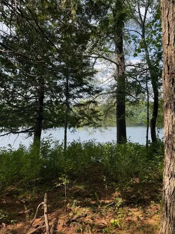 59 Mcdonald Road Parkman ME 04443