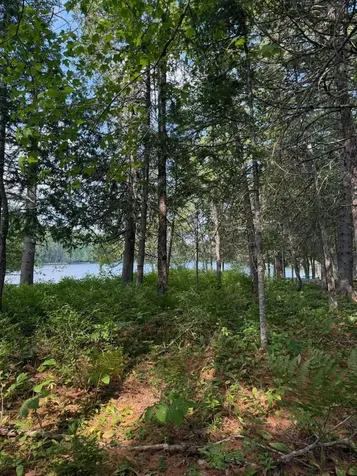 59 Mcdonald Road Parkman ME 04443