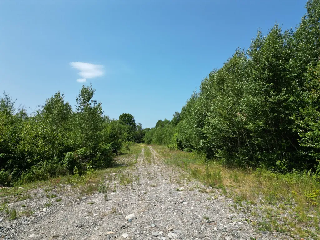 Lot 17-01 Pug Lake Road Lakeville ME 04487