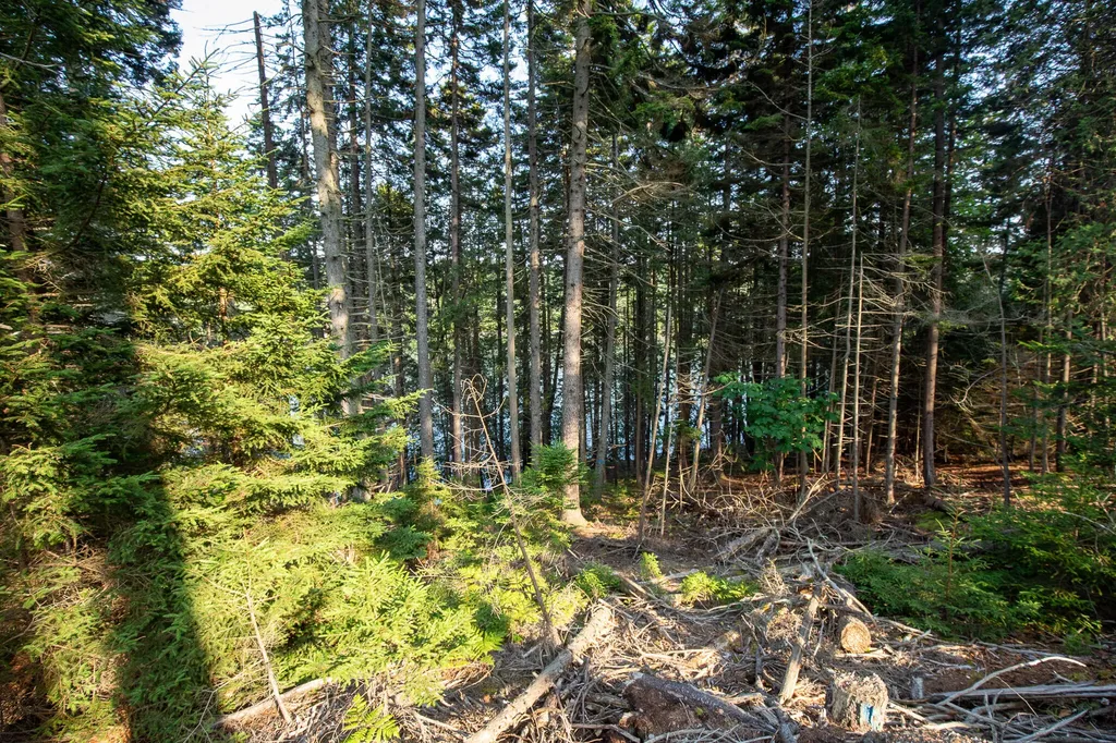 0 Bayview Road Harpswell ME 04066