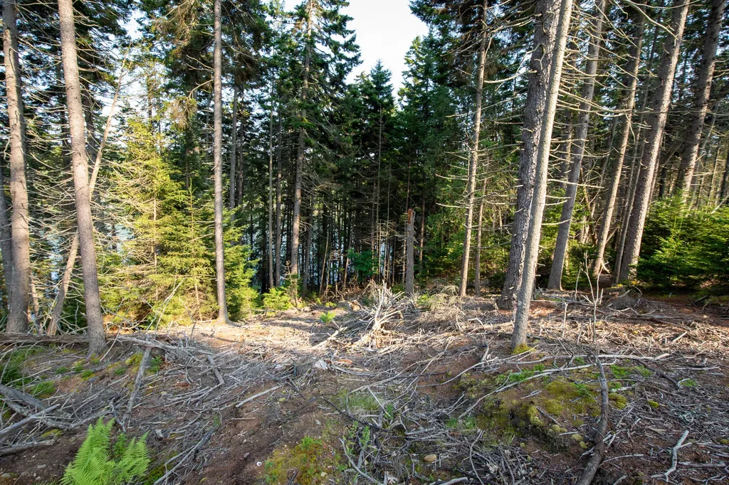 0 Bayview Road Harpswell ME 04066