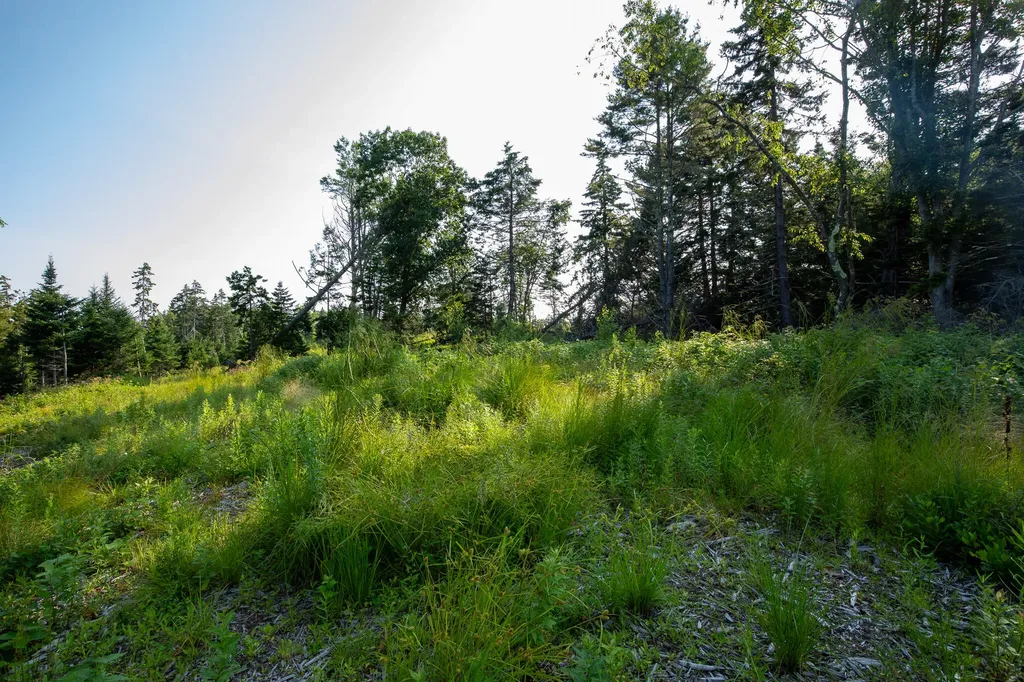 0 Bayview Road Harpswell ME 04066