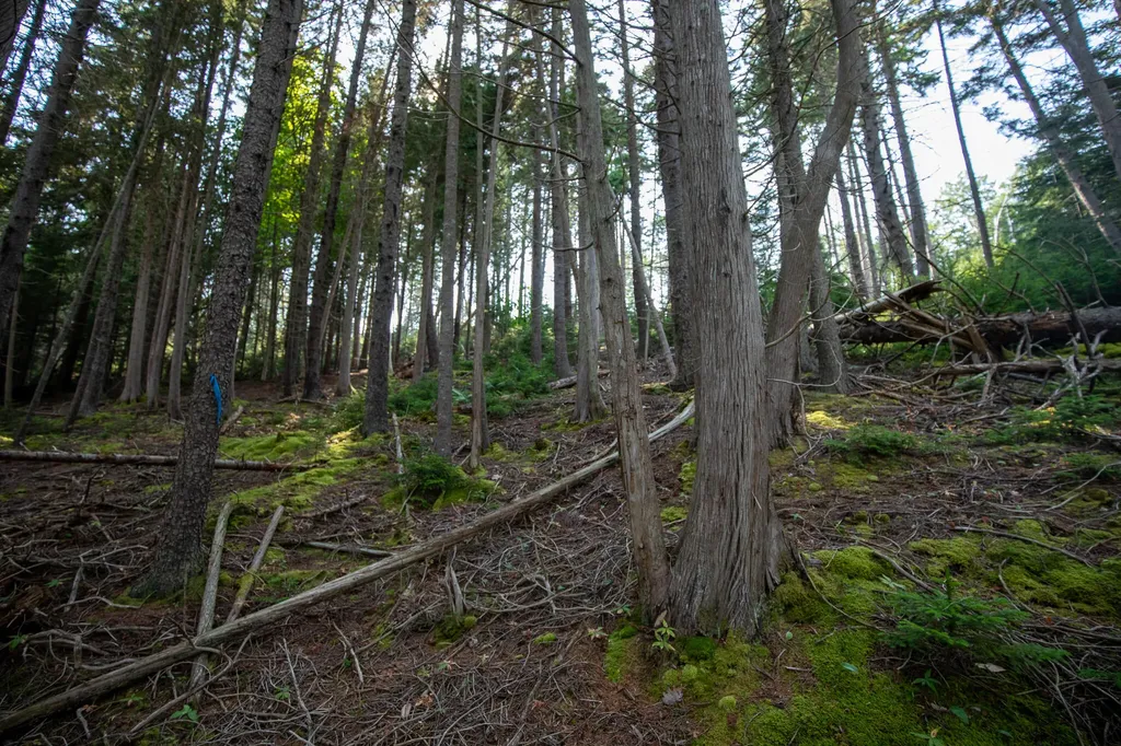 0 Bayview Road Harpswell ME 04066