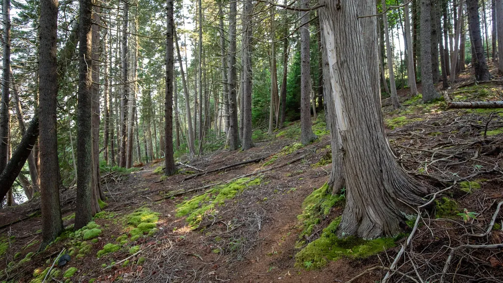 0 Bayview Road Harpswell ME 04066