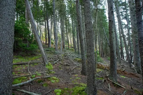 0 Bayview Road Harpswell ME 04066