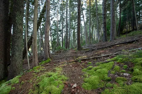 0 Bayview Road Harpswell ME 04066