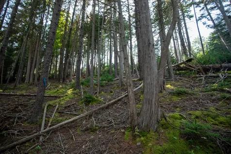 0 Bayview Road Harpswell ME 04066