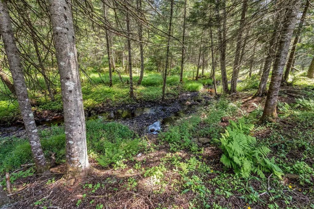 658 Mingo Loop Road Rangeley ME 04970