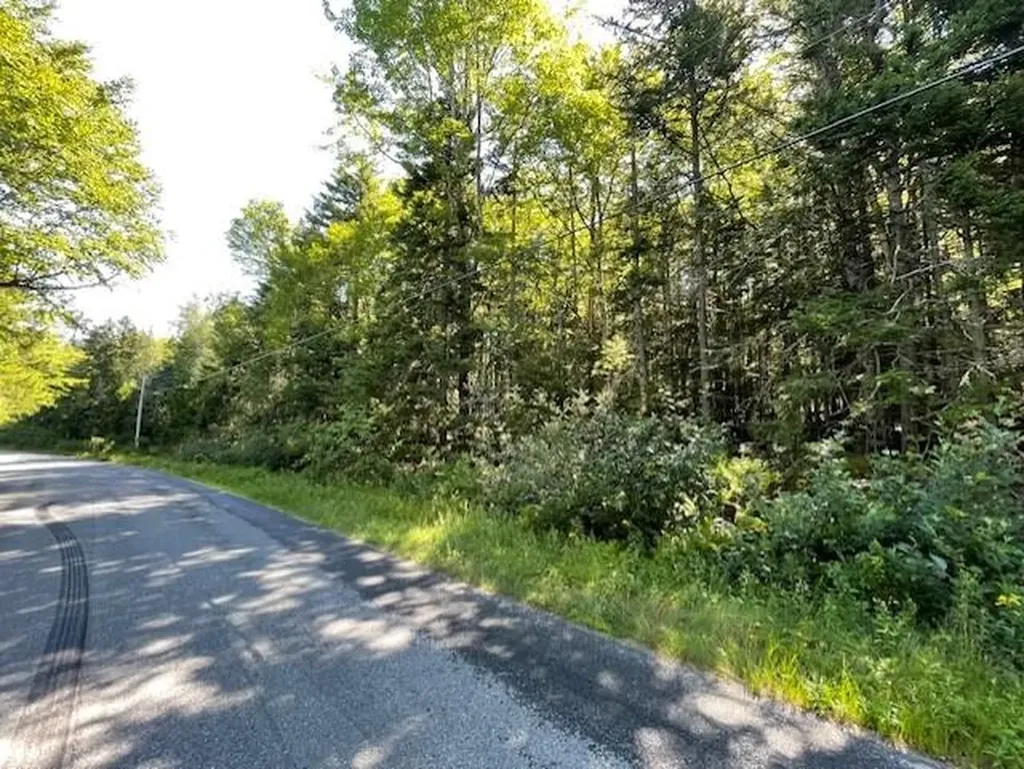 Lot #9 Rogers Point Road Steuben ME 04680