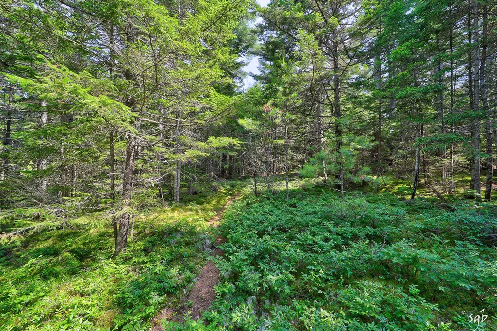 Lot 3 Bear Springs Lane Surry ME 04684