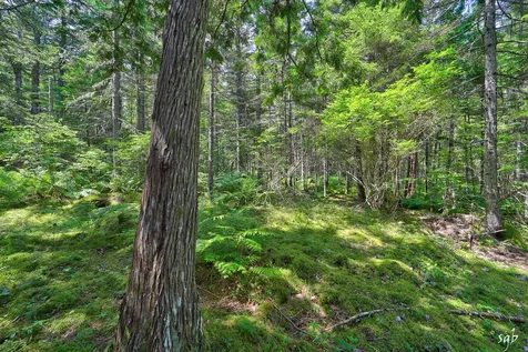 Lot 3 Bear Springs Lane Surry ME 04684