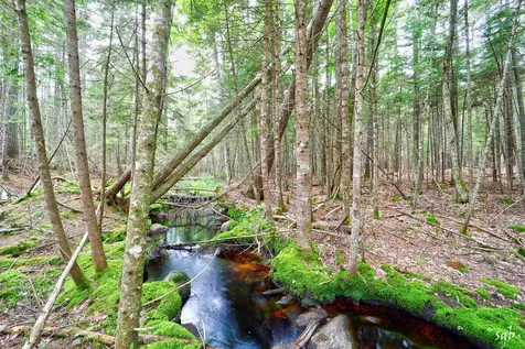 Lot 3 Bear Springs Lane Surry ME 04684