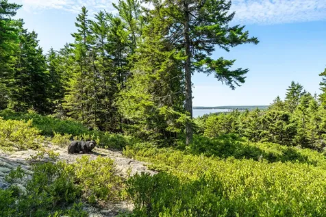 4 Highlands (Northeast Hrbr) Lane Mount Desert ME 04662