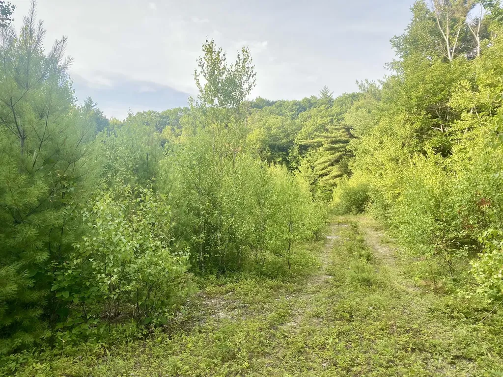 2,4,6 Willis Bean Road Eaton NH 03832