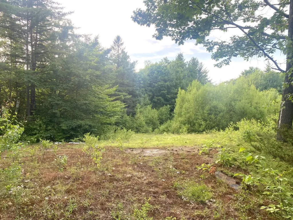 2,4,6 Willis Bean Road Eaton NH 03832