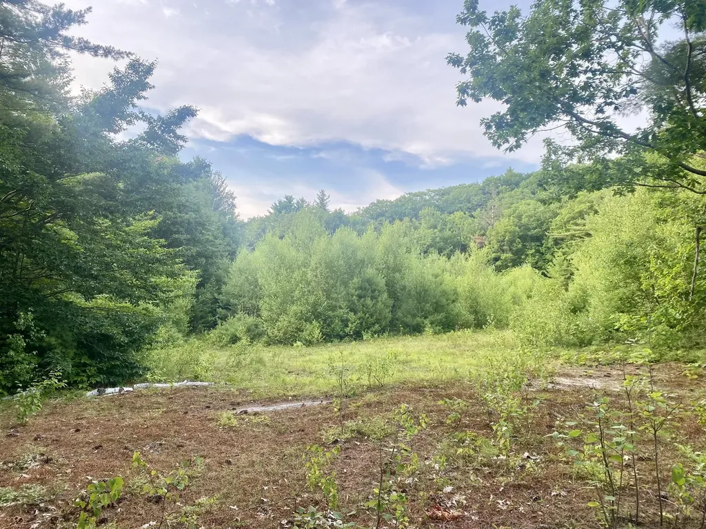 2,4,6 Willis Bean Road Eaton NH 03832