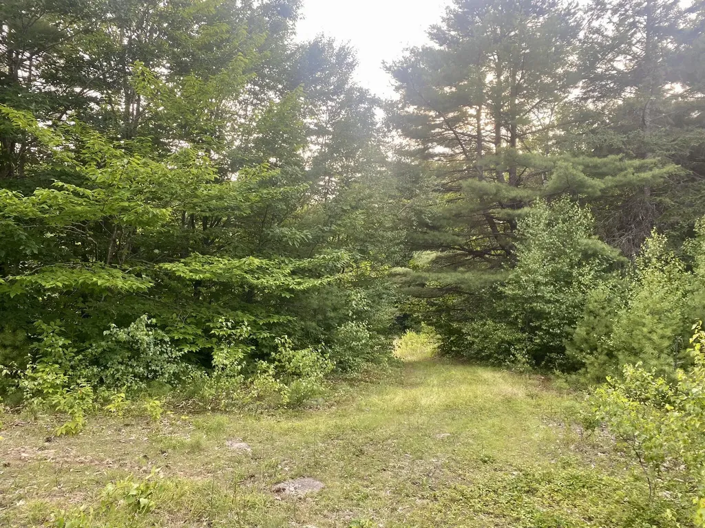 2,4,6 Willis Bean Road Eaton NH 03832