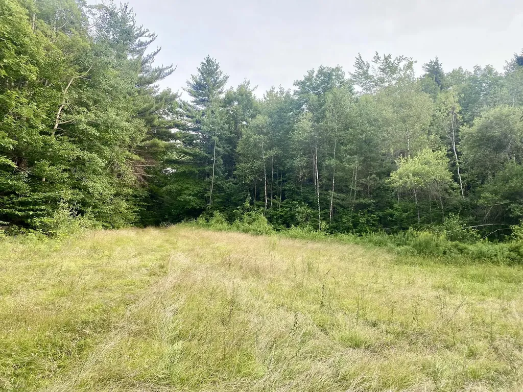 2,4,6 Willis Bean Road Eaton NH 03832