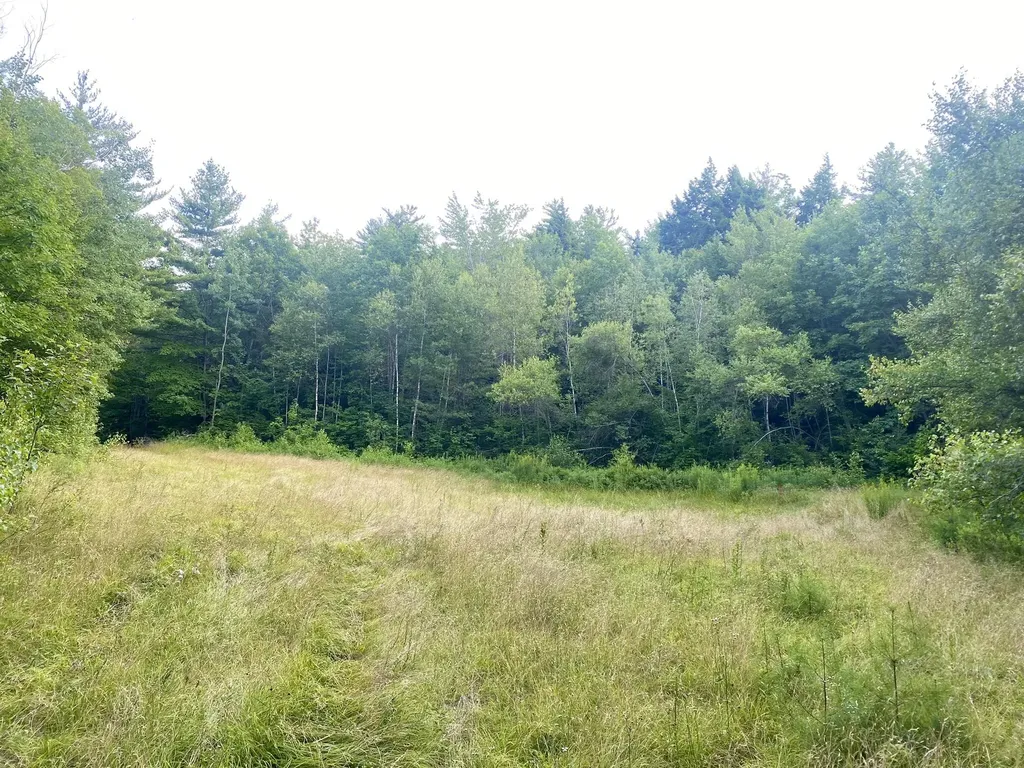 2,4,6 Willis Bean Road Eaton NH 03832