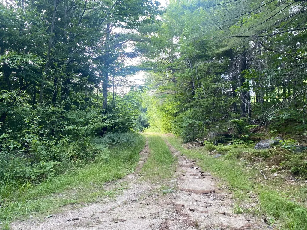 2,4,6 Willis Bean Road Eaton NH 03832