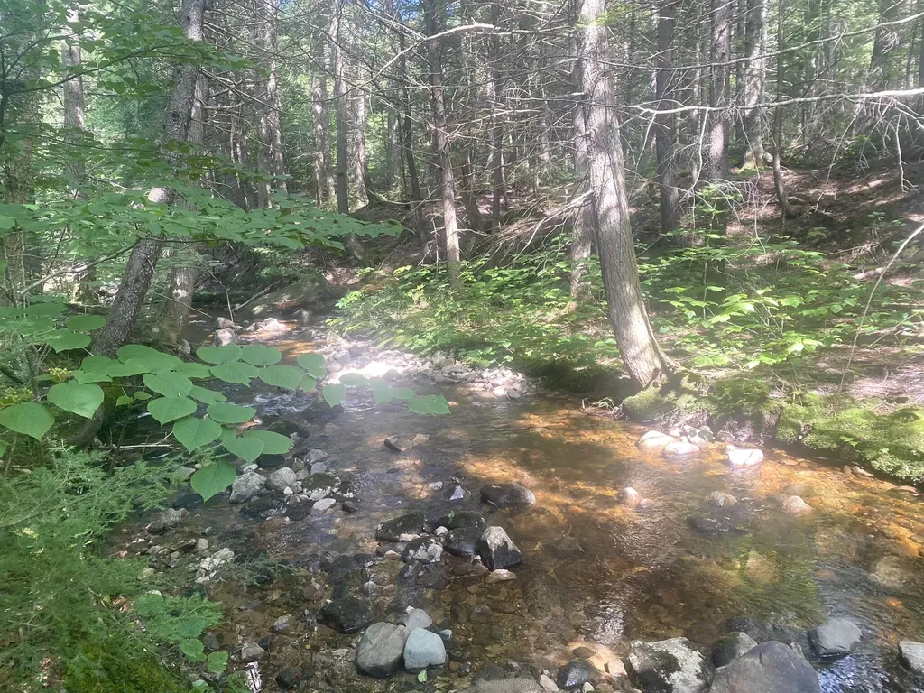 2,4,6 Willis Bean Road Eaton NH 03832