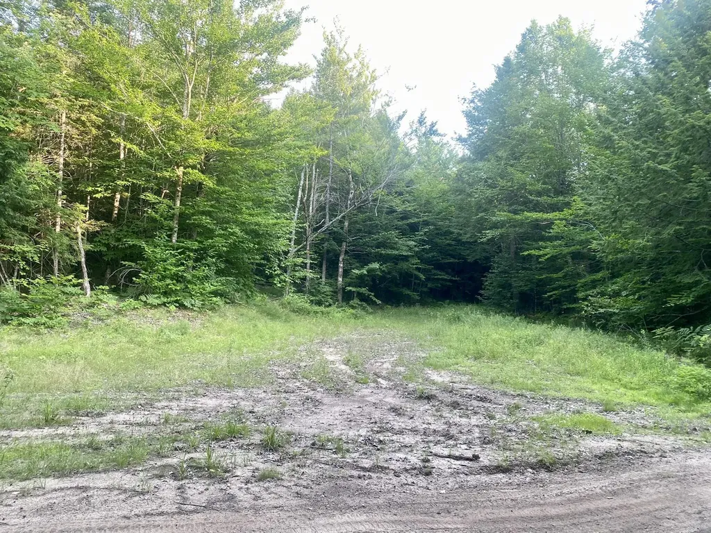 2,4,6 Willis Bean Road Eaton NH 03832