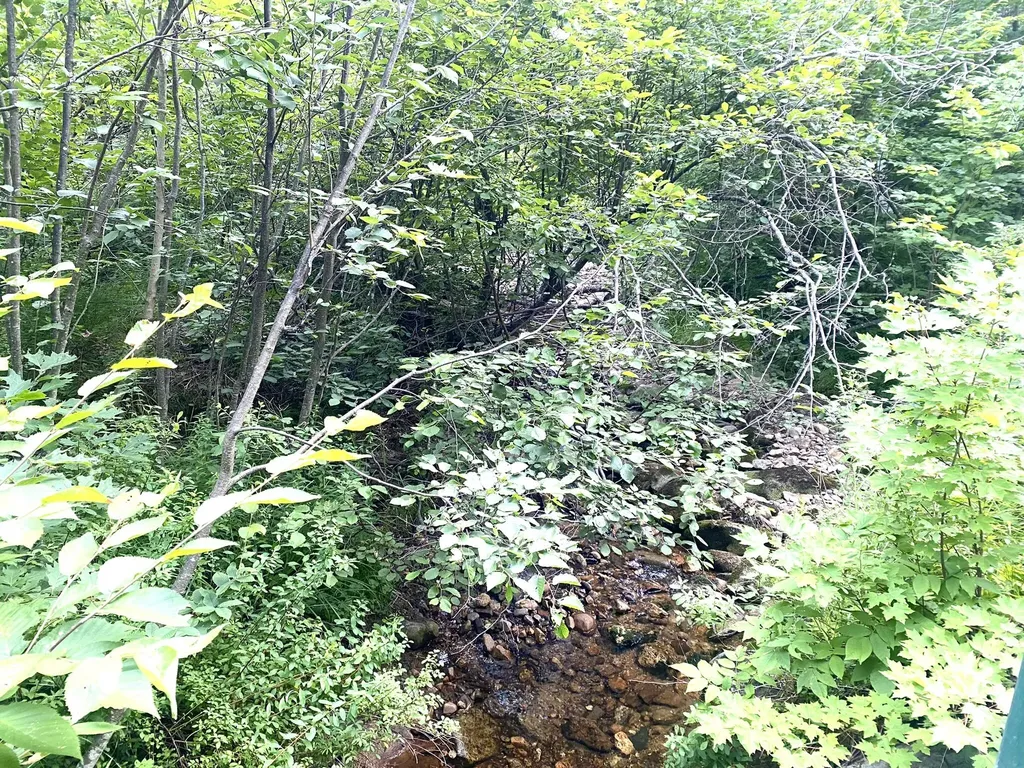2,4,6 Willis Bean Road Eaton NH 03832