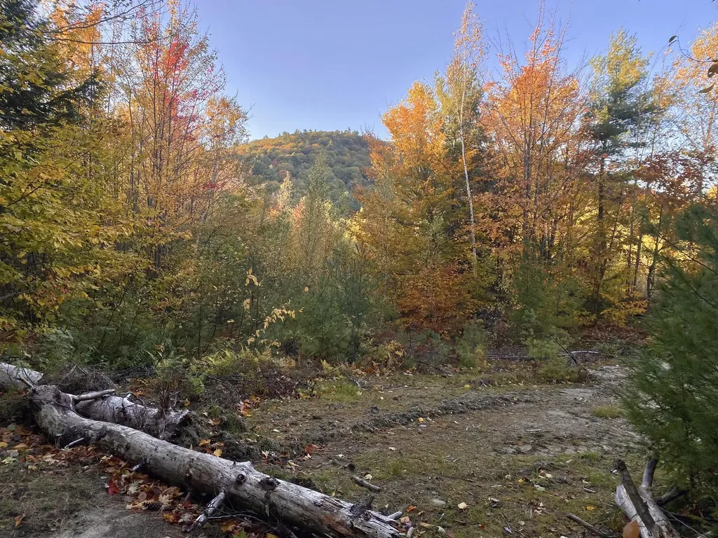 2,4,6 Willis Bean Road Eaton NH 03832
