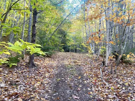 2,4,6 Willis Bean Road Eaton NH 03832