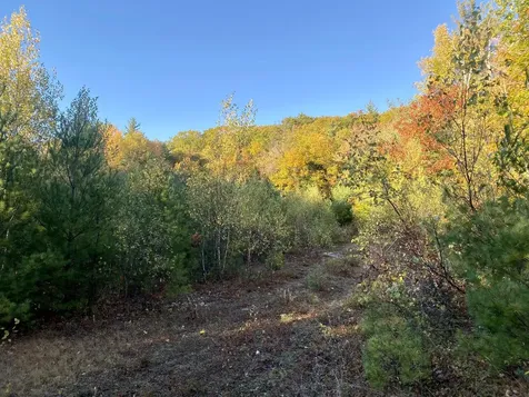 2,4,6 Willis Bean Road Eaton NH 03832