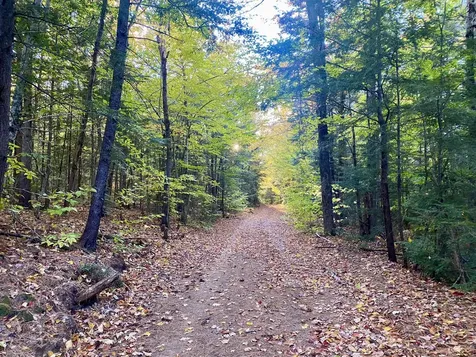 2,4,6 Willis Bean Road Eaton NH 03832