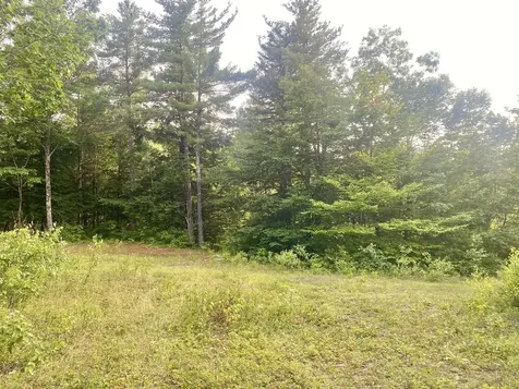2,4,6 Willis Bean Road Eaton NH 03832