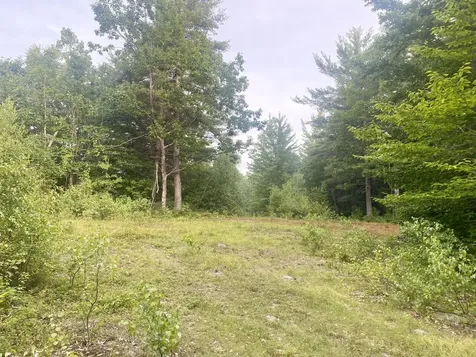 2,4,6 Willis Bean Road Eaton NH 03832