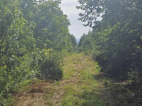 L3 M,R-1 Aroostook Scenic Highway Patten ME 04765