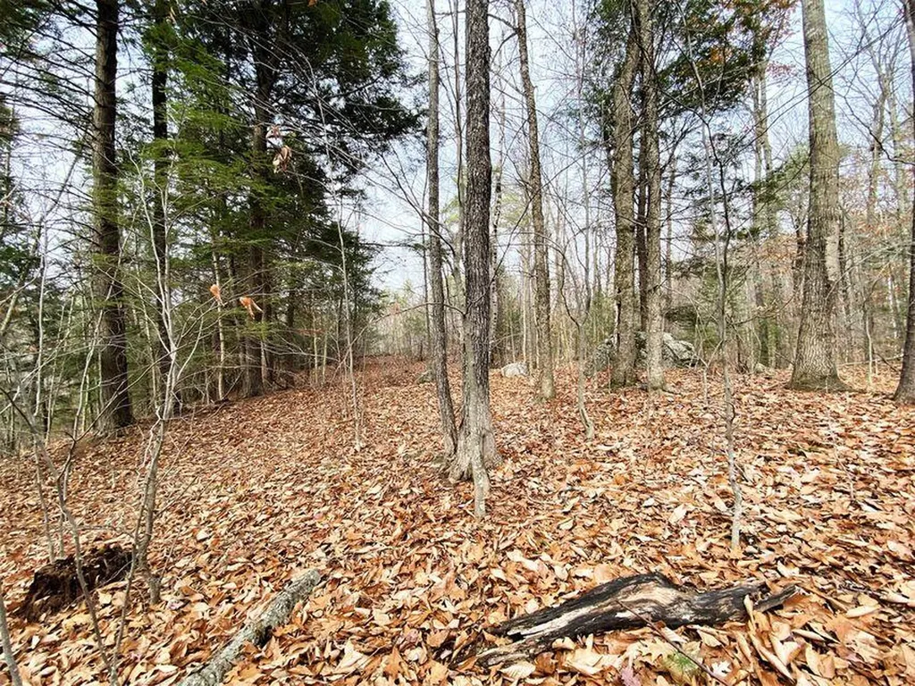 00 Libby Road Newfield ME 04095