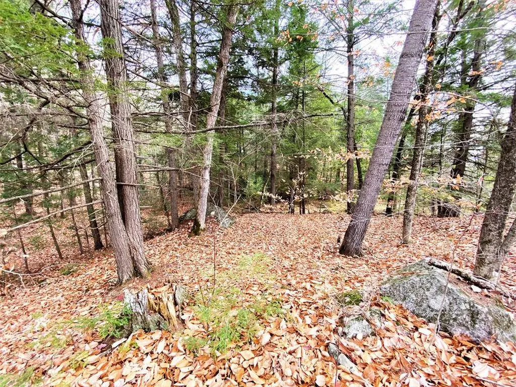00 Libby Road Newfield ME 04095