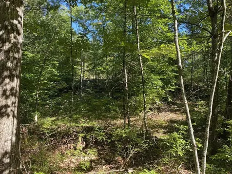 00 Libby Road Newfield ME 04095
