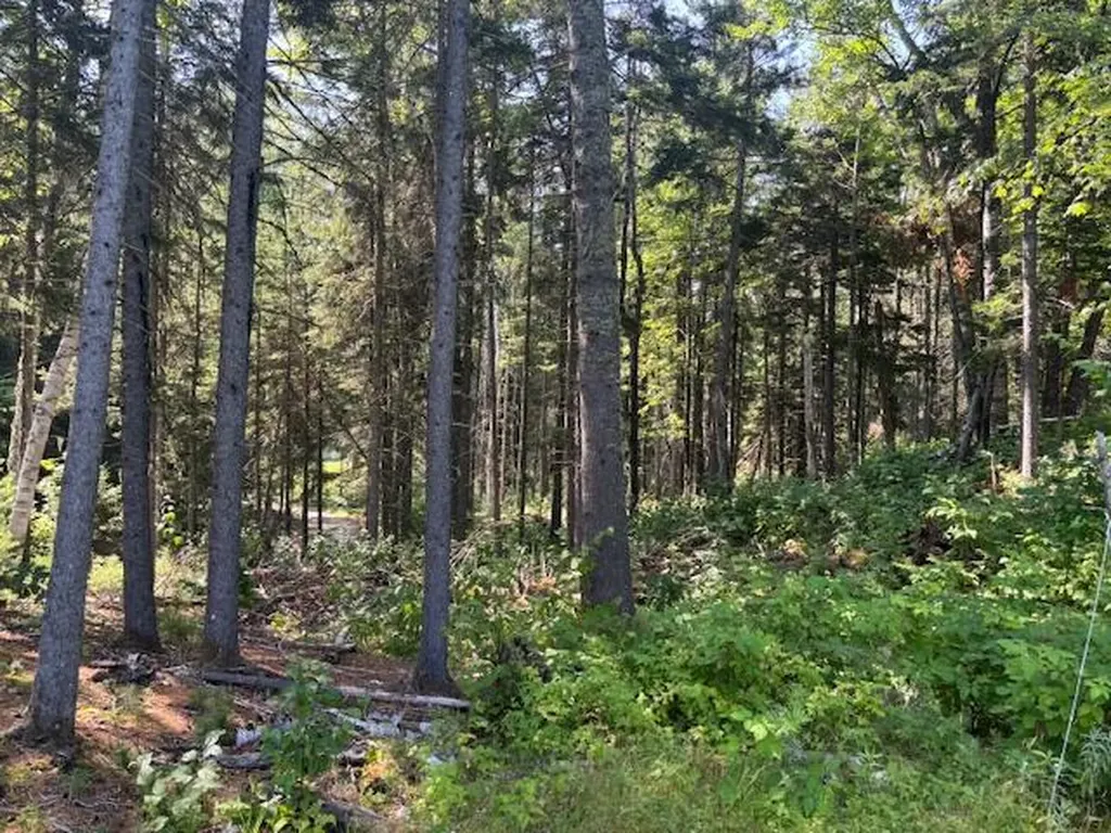 Lot 16 Rabbit Hollow Road Lang Twp ME 04970