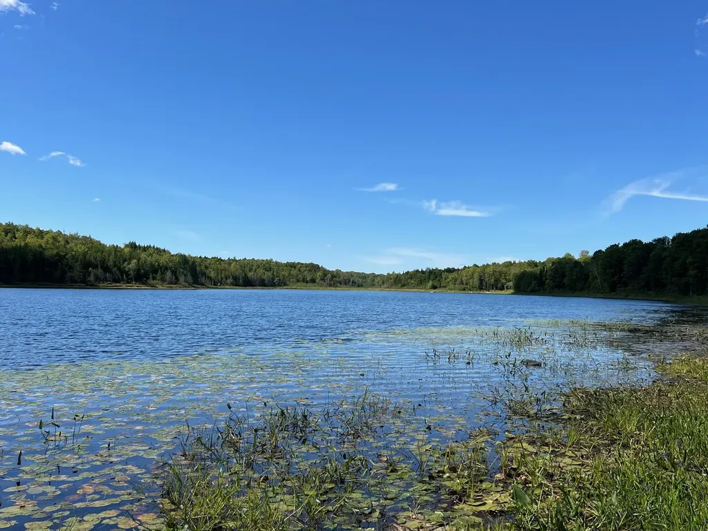 Map 1 Lot 16 Dexter Road Garland ME 04939
