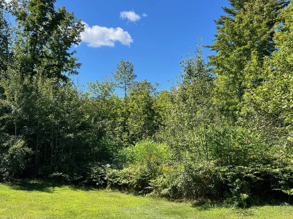 Map 1 Lot 16 Dexter Road Garland ME 04939